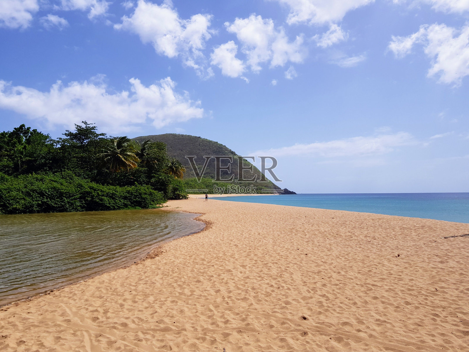 河流在瓜德罗普岛与大海相遇照片摄影图片