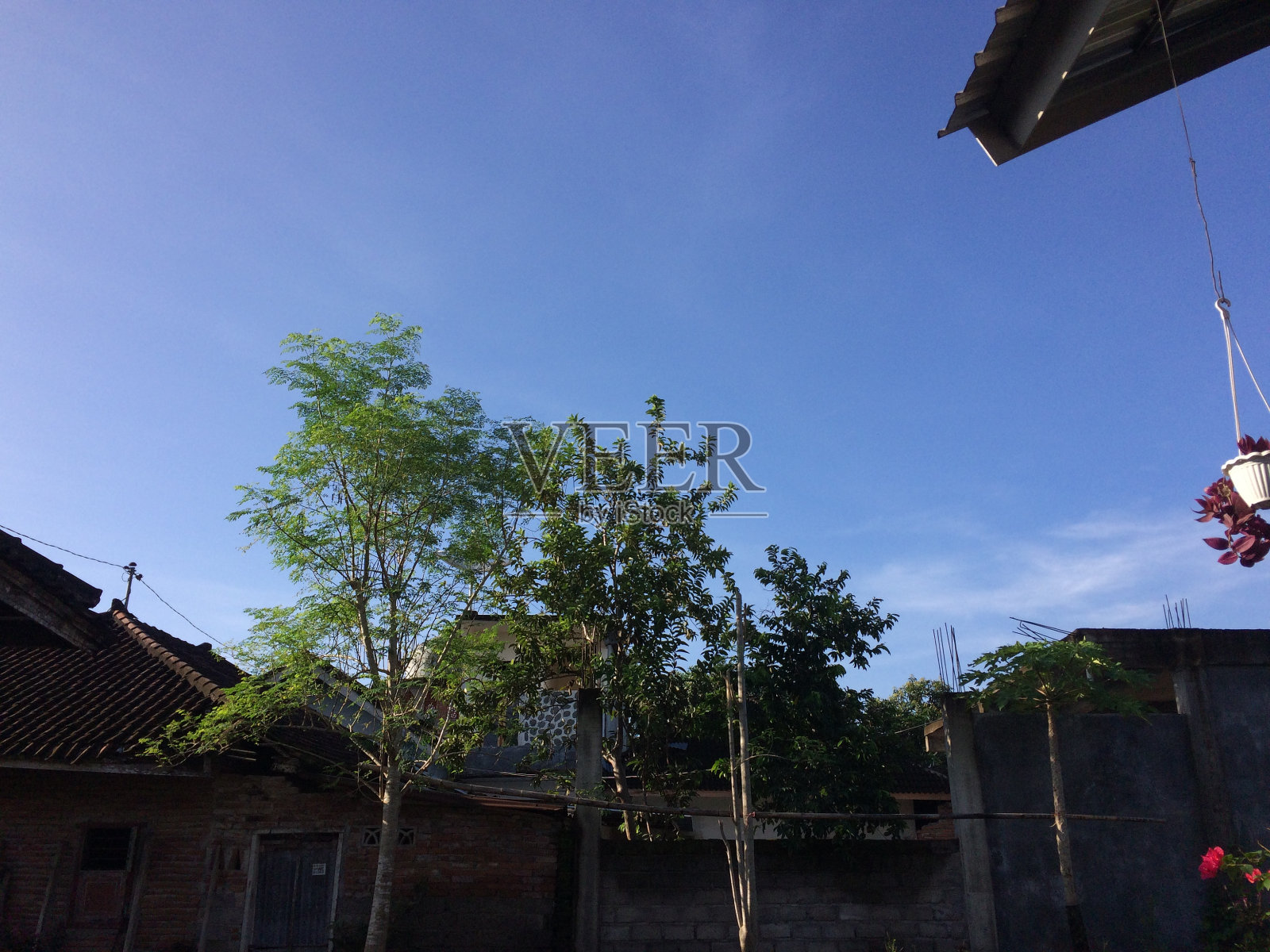 清晨的天空照片摄影图片