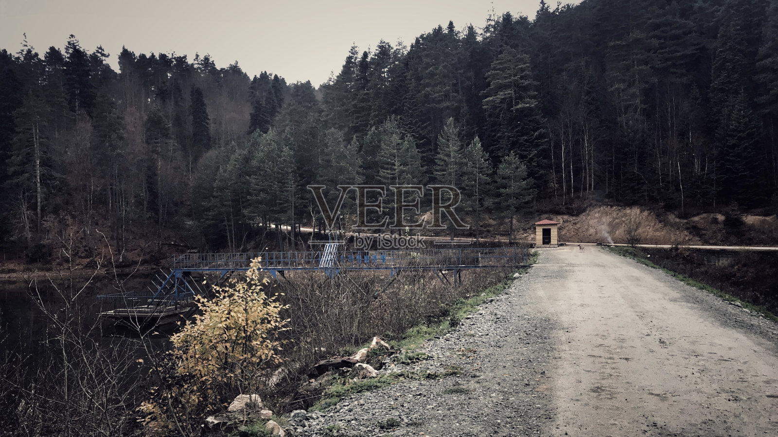 湖照片摄影图片