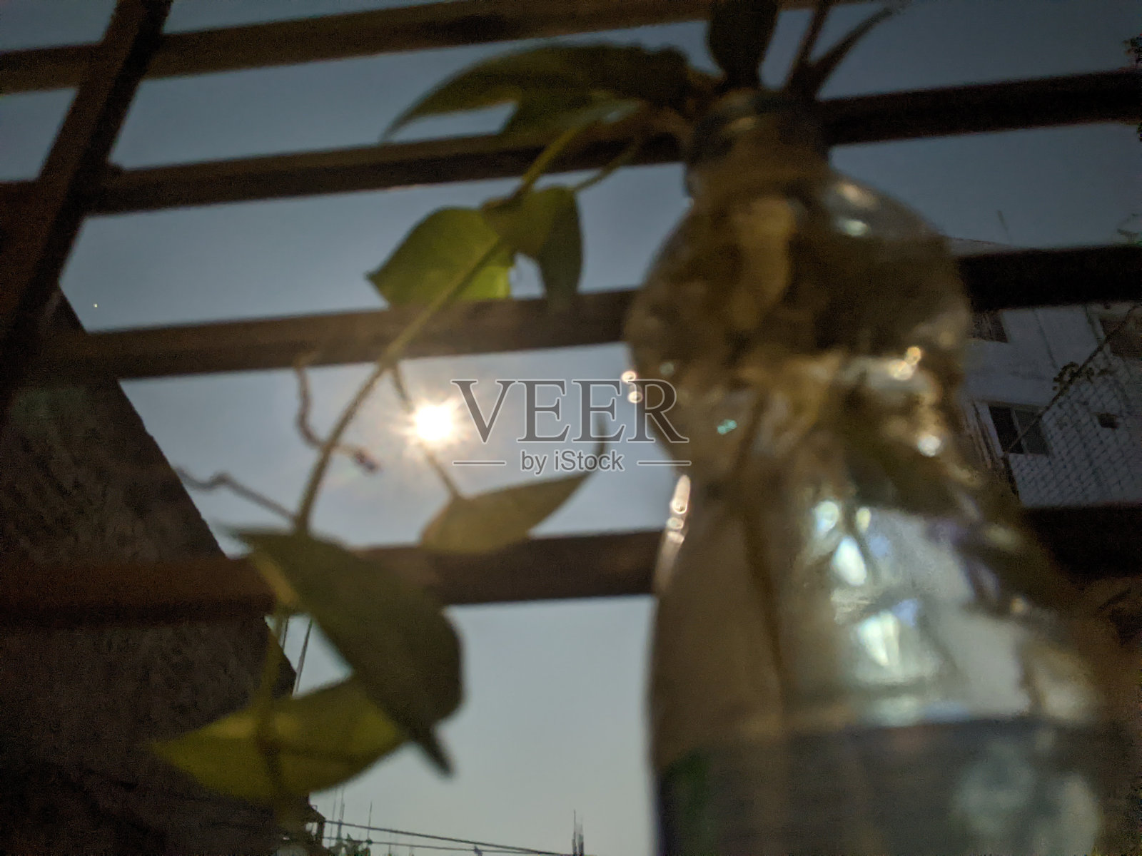 月亮照片摄影图片