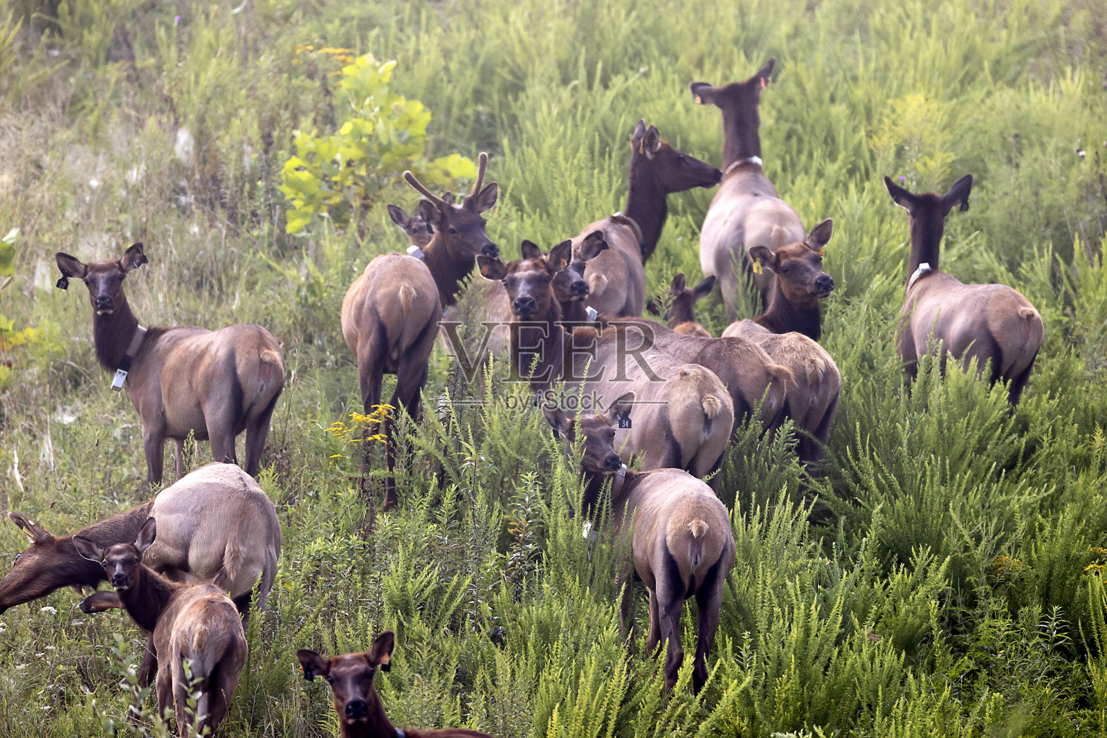 每照片摄影图片