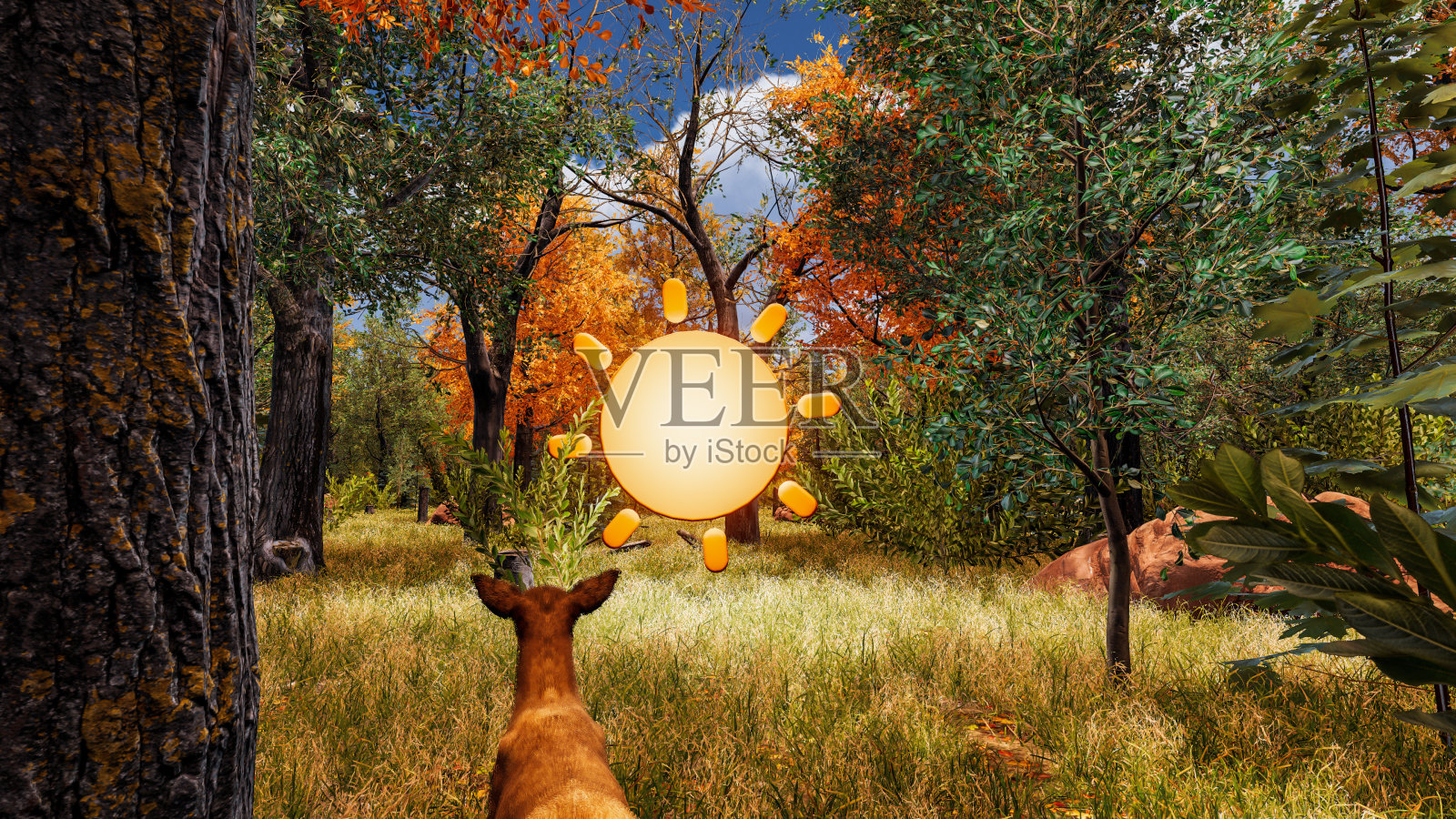 三维渲染的橙色图标太阳为全球变暖与森林背景照片摄影图片