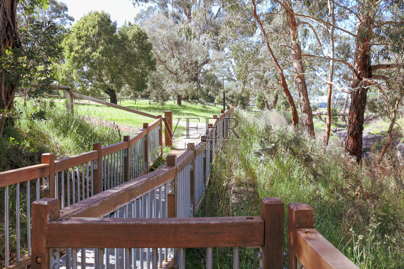 在代尔斯福德附近穿过丛林的步道和木板路照片摄影图片
