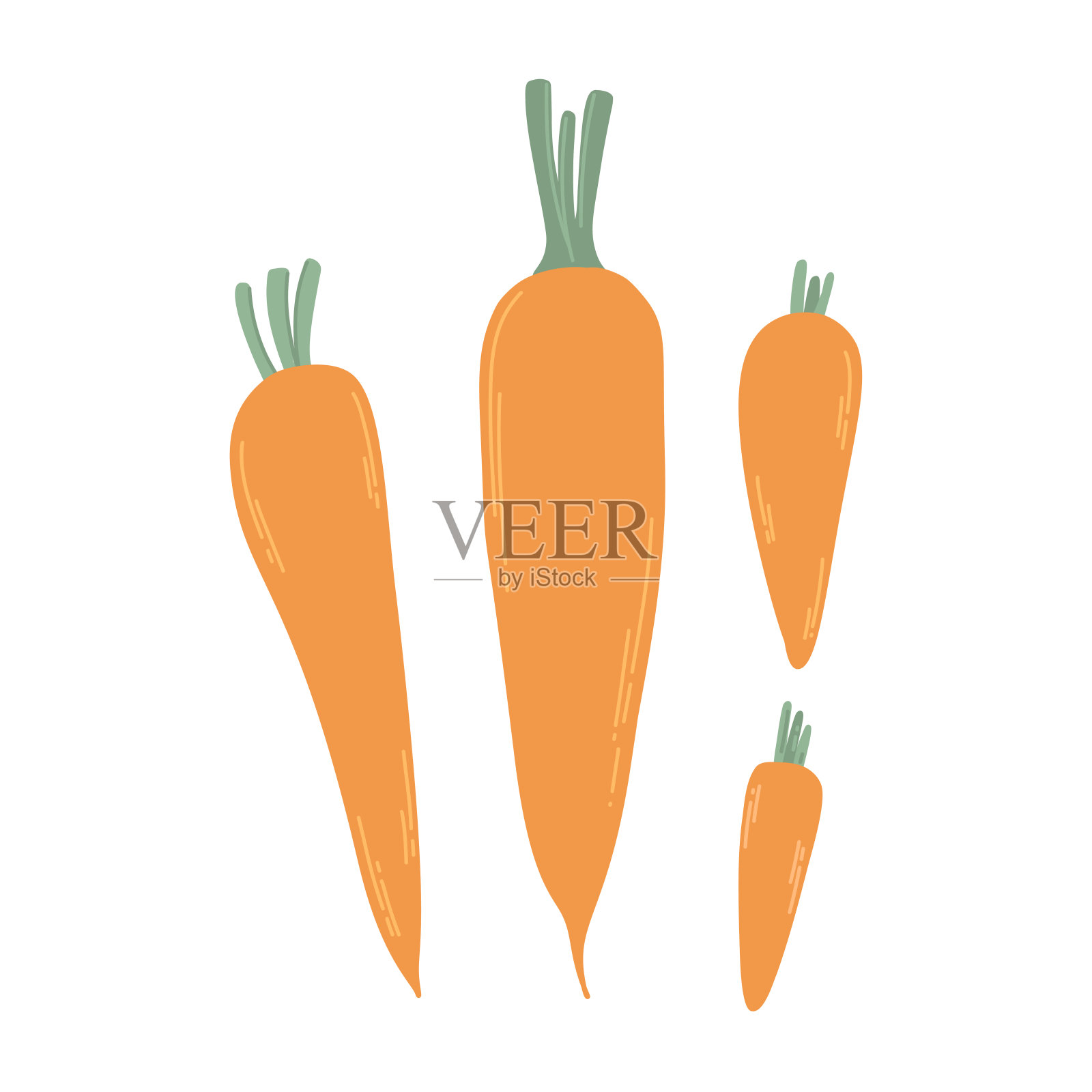 涂鸦橙色胡萝卜。四种类型的矢量胡萝卜。插画图片素材