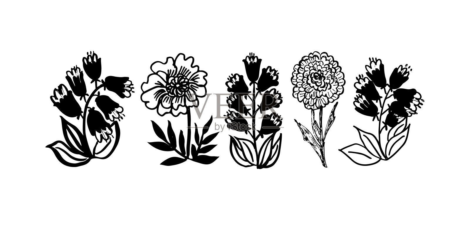 花茎上简单线性黑色花朵，白色上孤立，手绘。插画图片素材