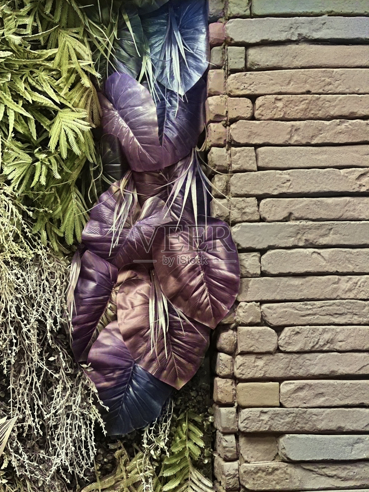 现代室内设计，室内植物照片摄影图片