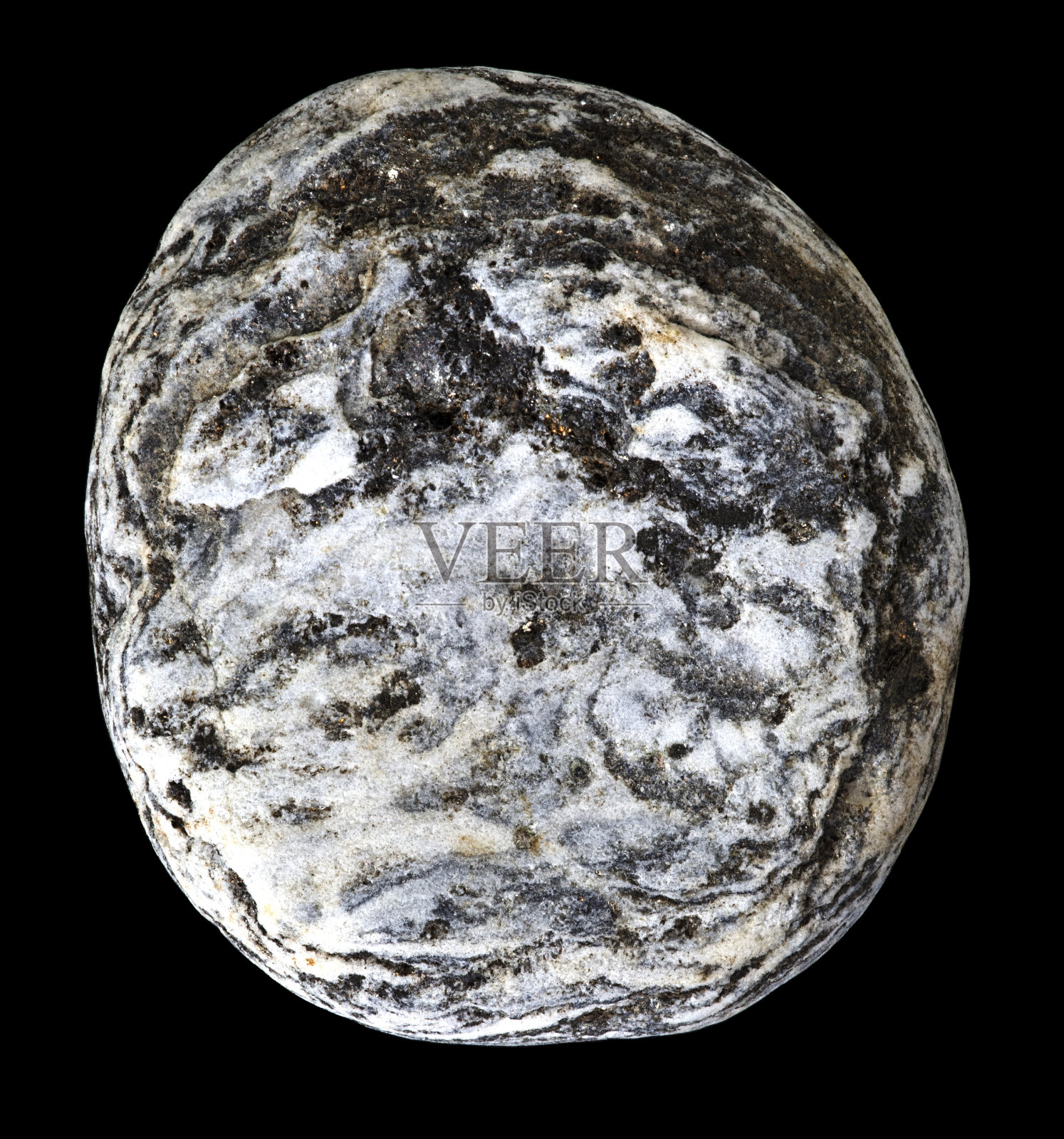 带石英带的变质片麻岩放大特写。照片摄影图片