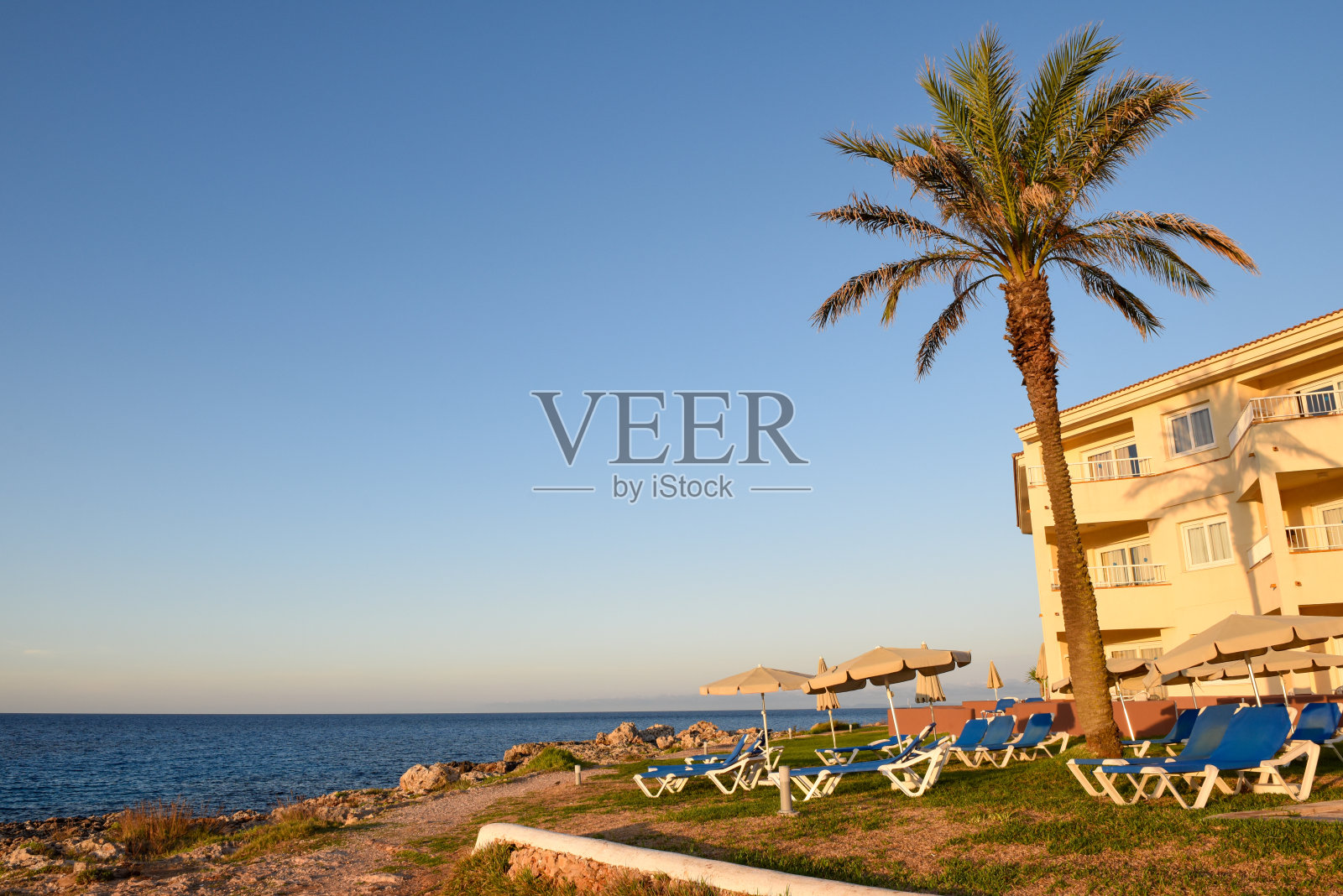 夏天有棕榈树的海滨度假胜地照片摄影图片