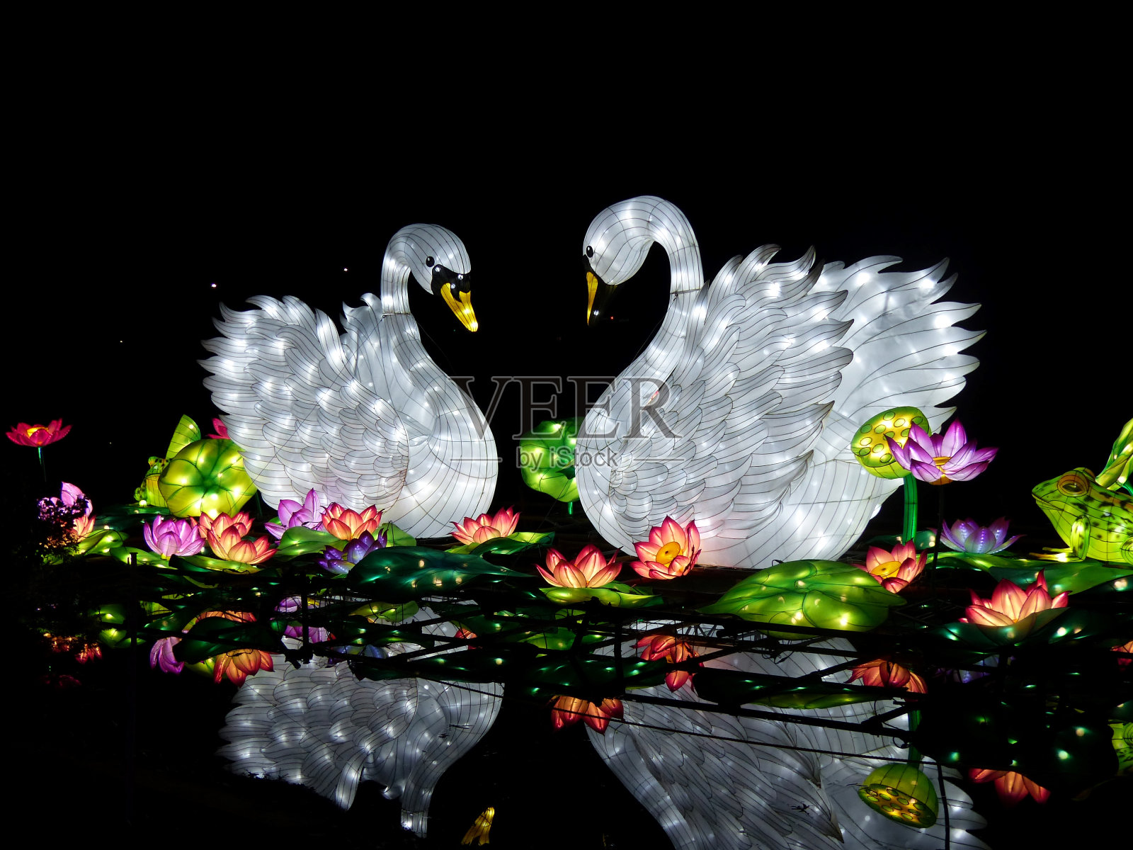 漂浮的中国天鹅灯照片摄影图片