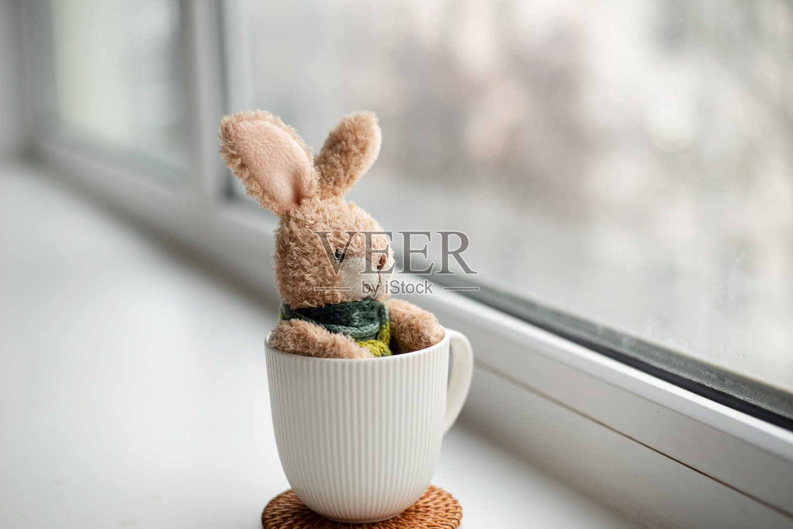 一只裹着围巾的孤独的兔子，独自坐在那里望着窗外照片摄影图片