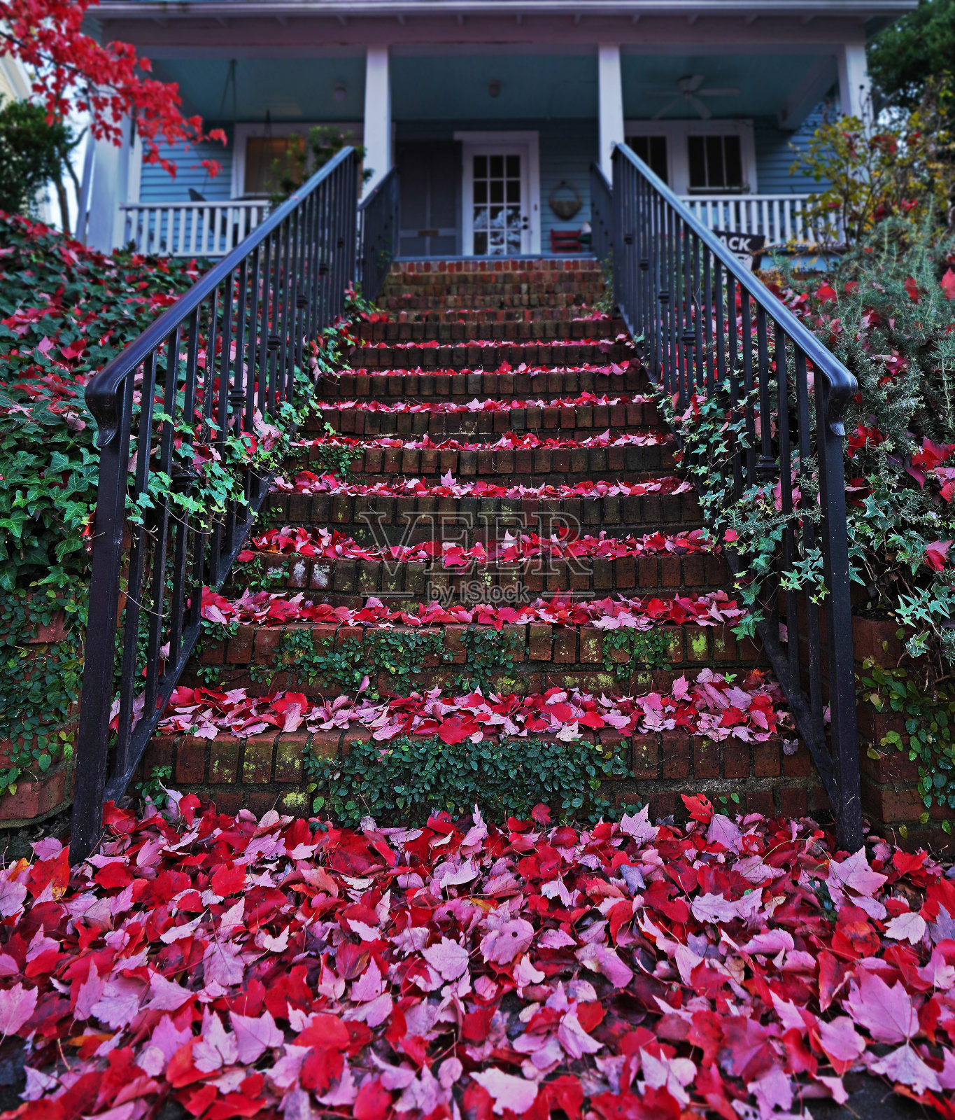 红色秋叶在楼梯上的一个家在历史悠久的奥克伍德社区的罗利，北卡罗来纳州照片摄影图片