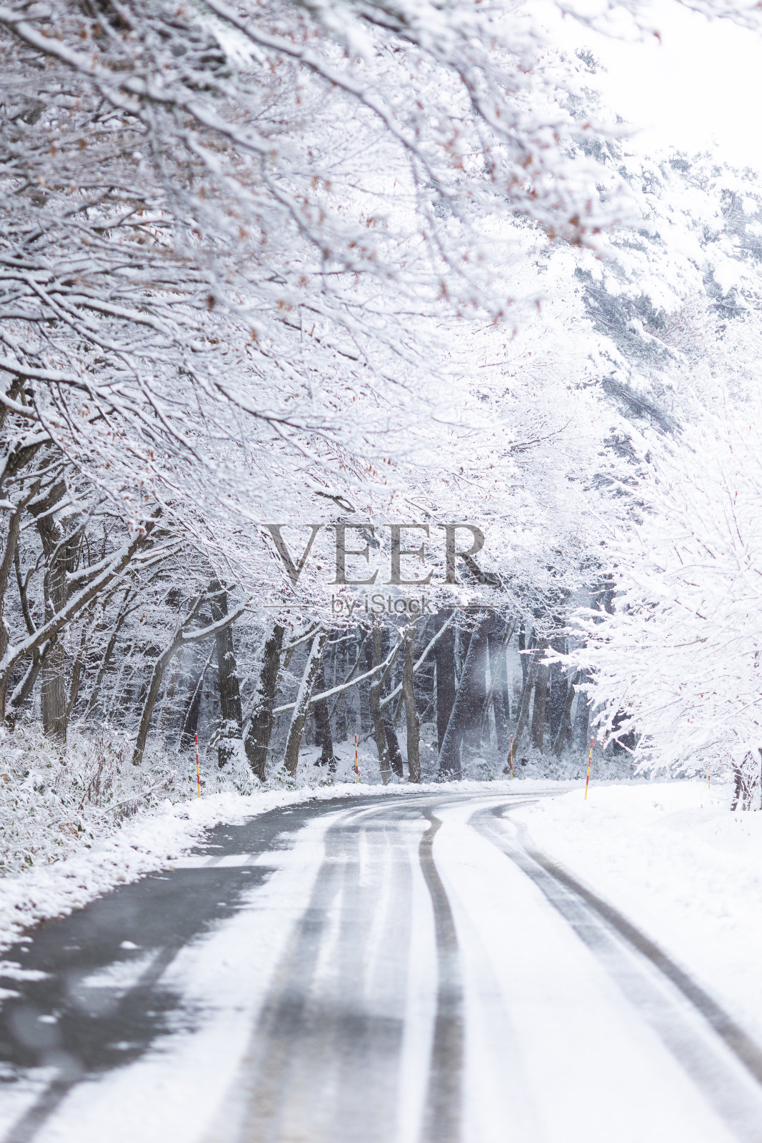 白雪林路照片摄影图片