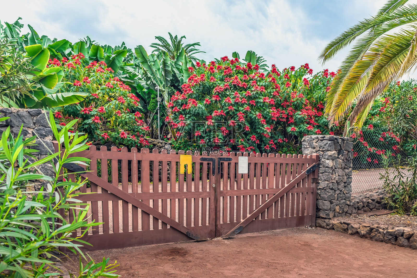 西班牙特内里费岛德拉克鲁兹港香蕉田的木门照片摄影图片