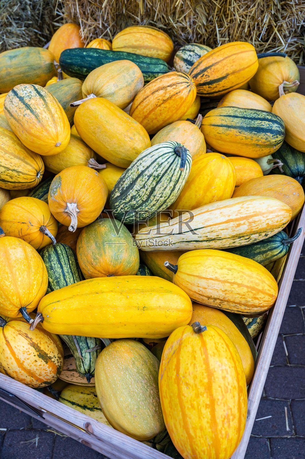 一叠新鲜多彩的南瓜和南瓜收获后照片摄影图片
