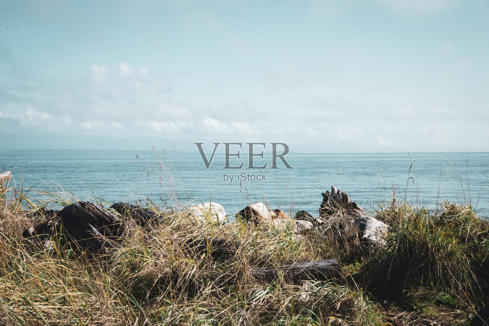 乔治亚海峡照片摄影图片