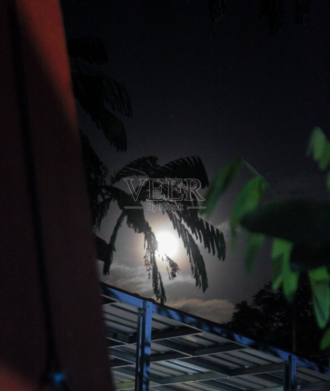 夜晚大自然的照片，满月时晴朗的天空照片摄影图片