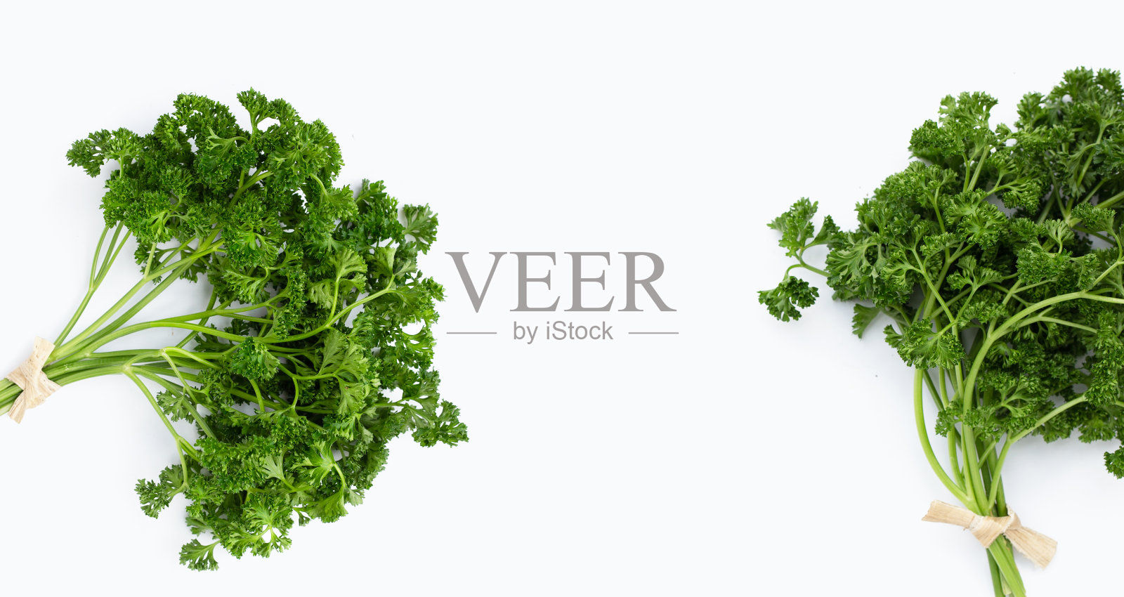 新鲜欧芹配白底。照片摄影图片