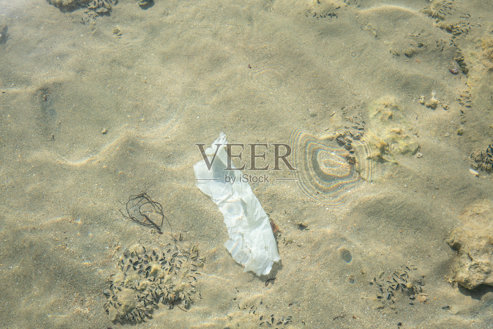 透过水面看到的海底垃圾照片摄影图片