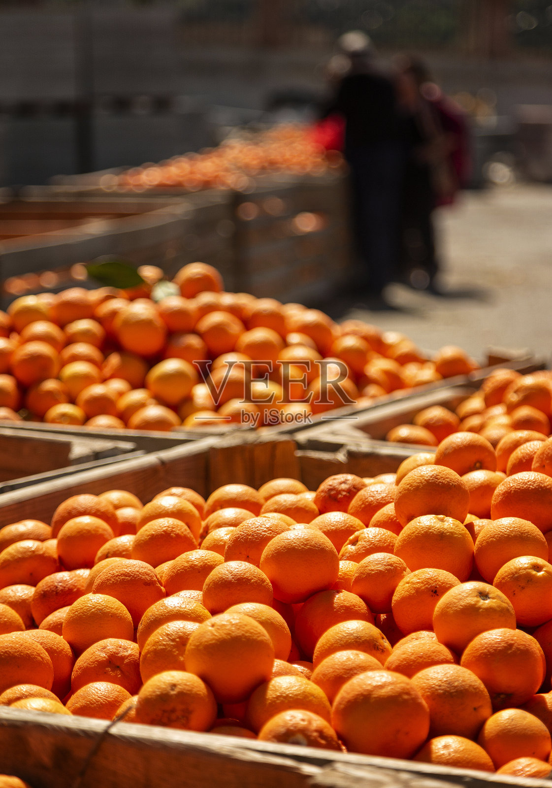 收获的橙子被装在大板条箱里运输照片摄影图片