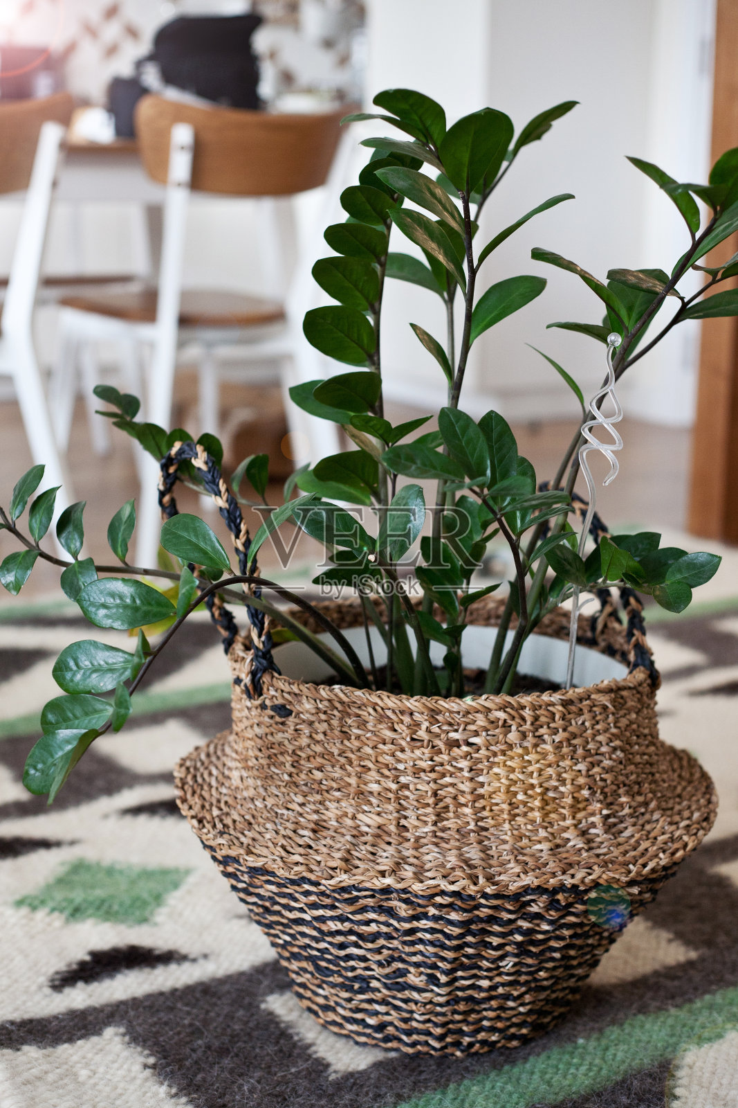 用黄麻作花篮，花盆中放有花木。照片摄影图片