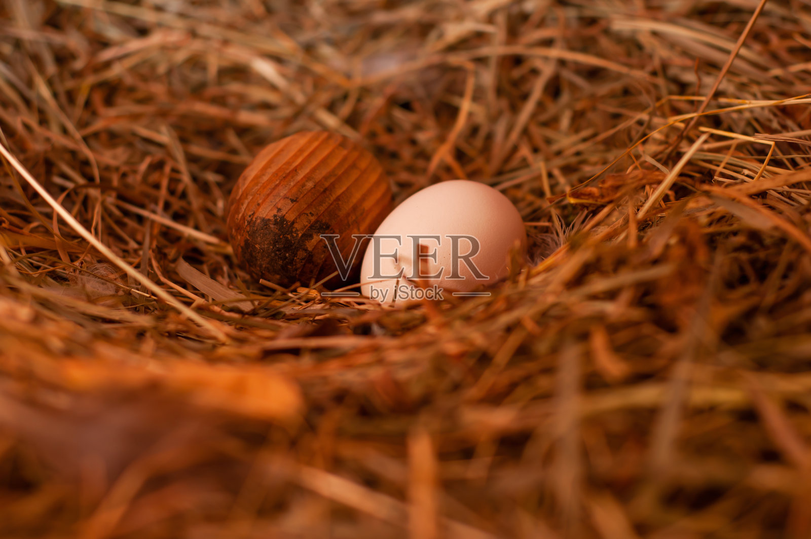 家鸡自制生态蛋照片摄影图片