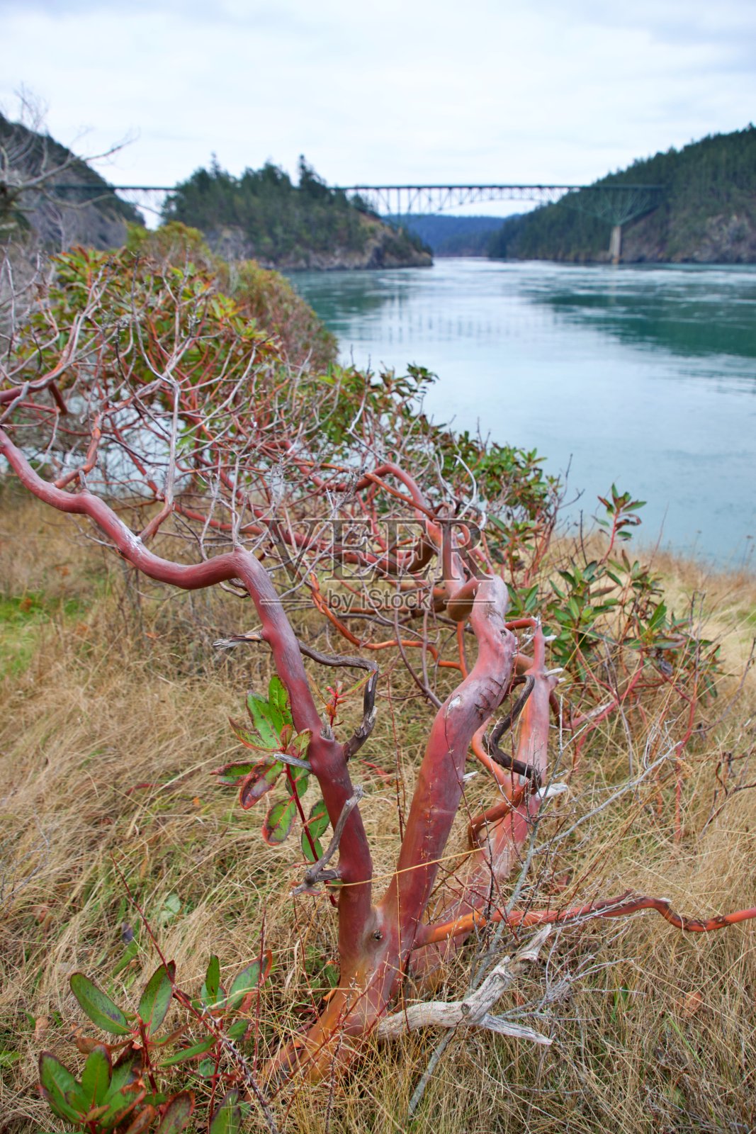 欺骗隘口州立公园照片摄影图片