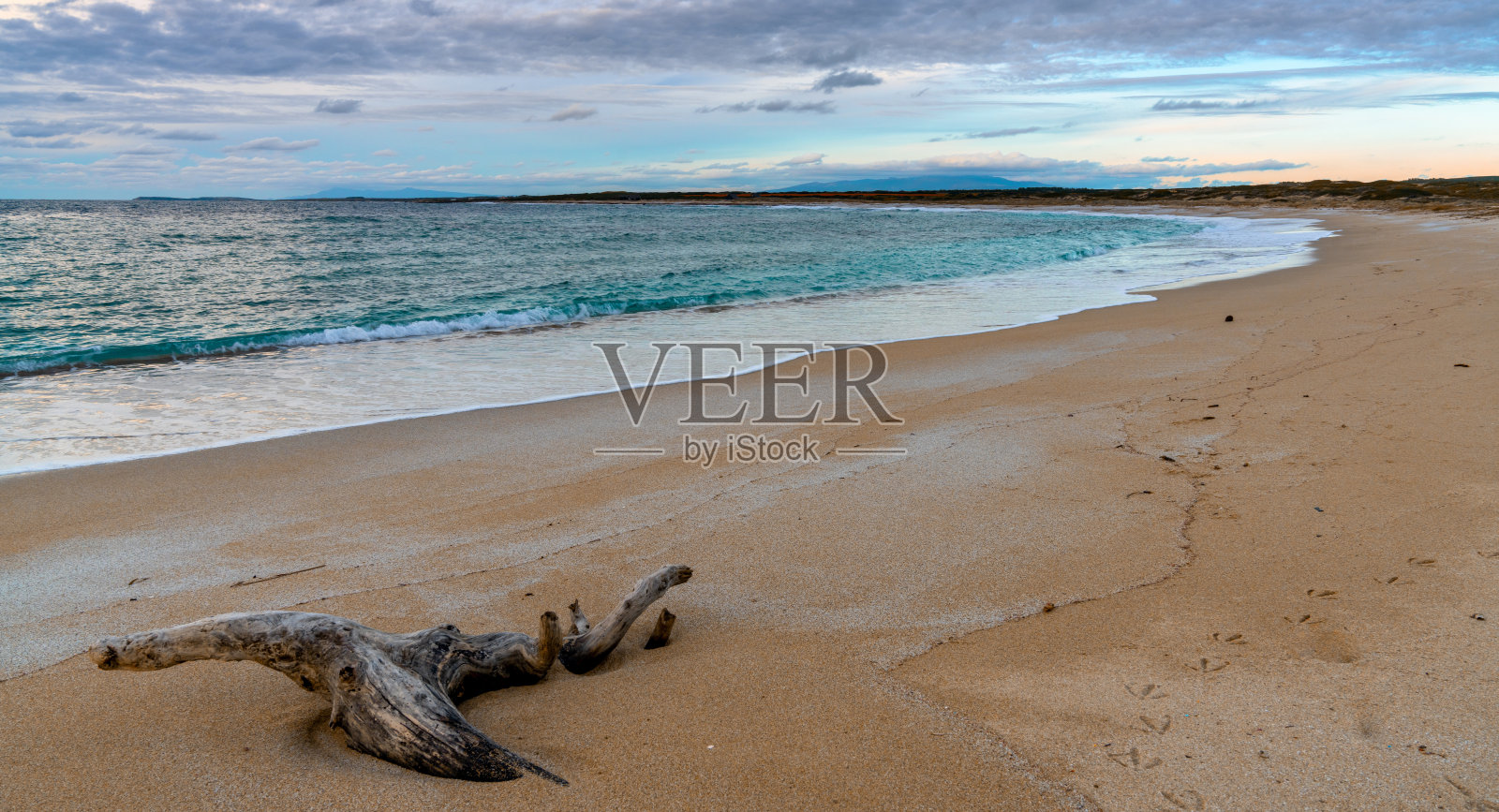 在黄昏的灯光下，撒丁岛西海岸的白色沙滩，绿松石色的海水和浮木照片摄影图片