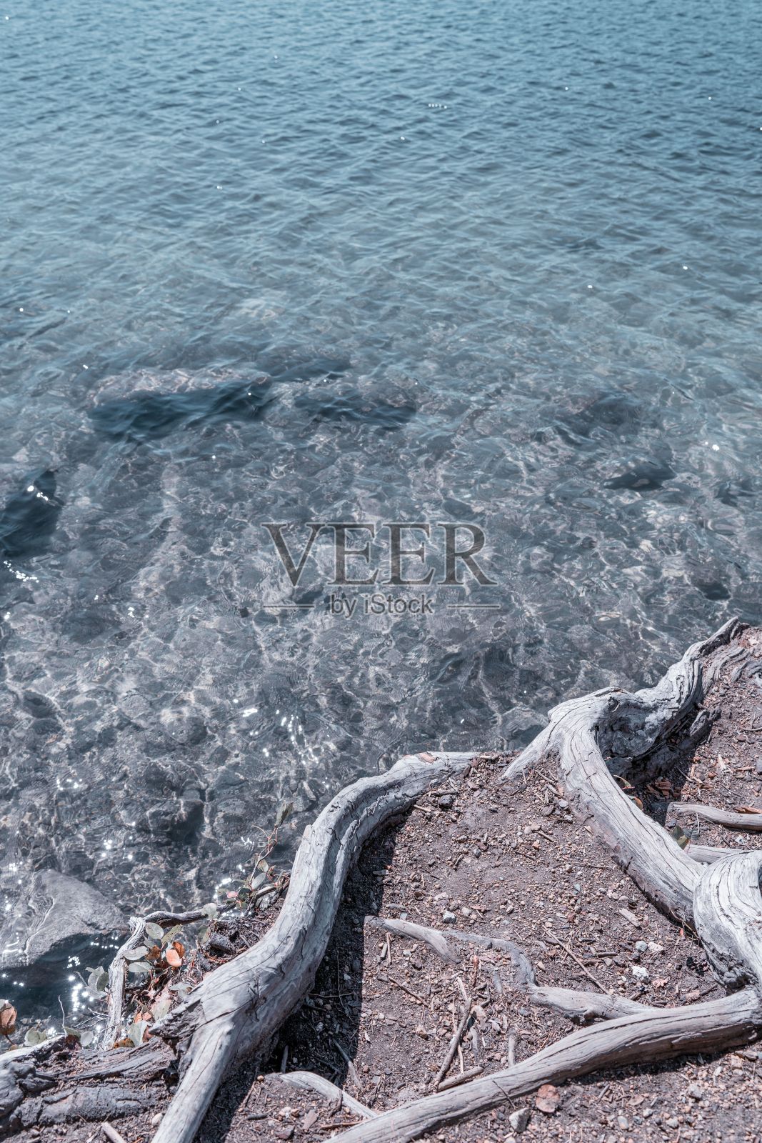 加拿大不列颠哥伦比亚省的蓝色海岸线垂直拍摄照片摄影图片