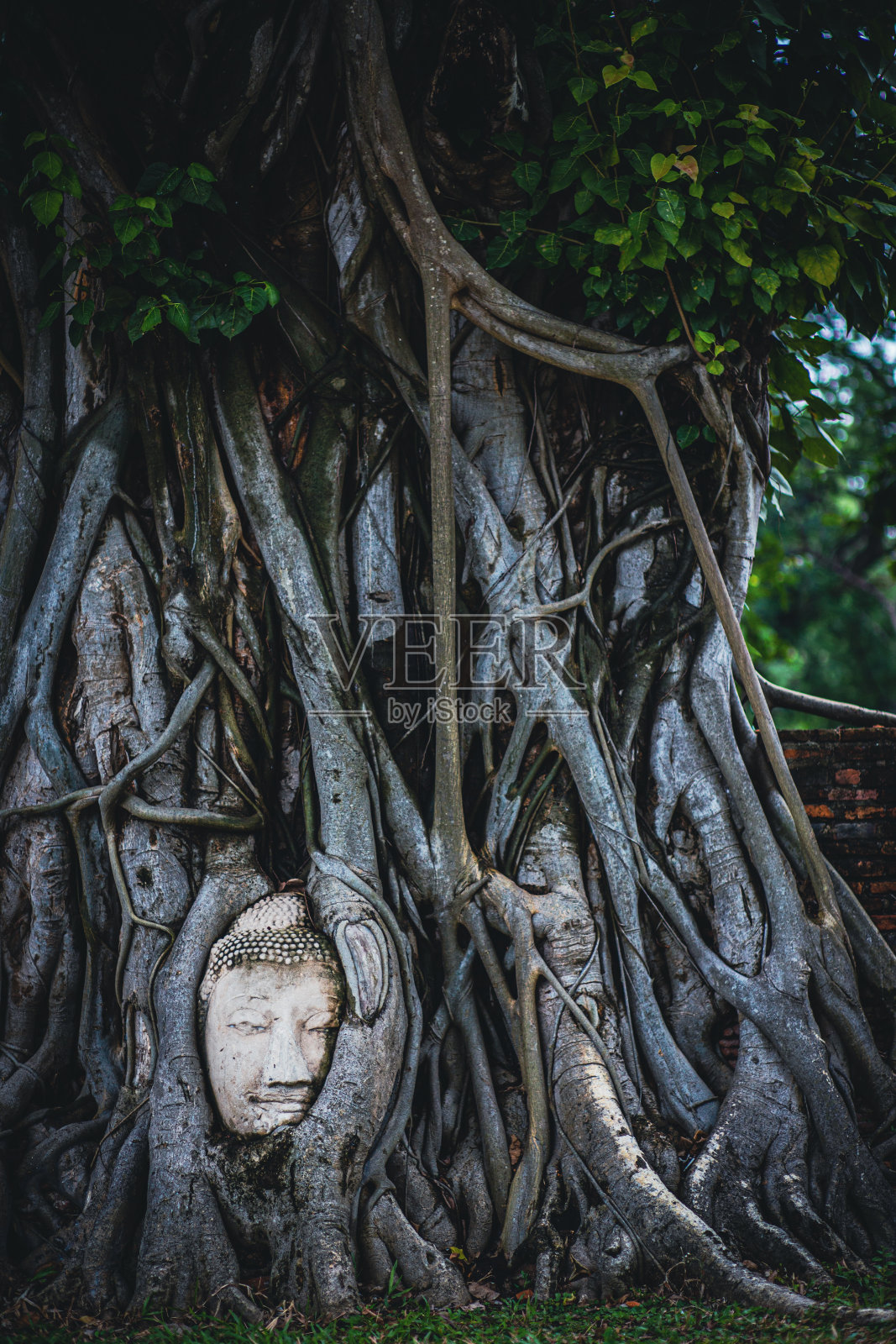 大城府照片摄影图片