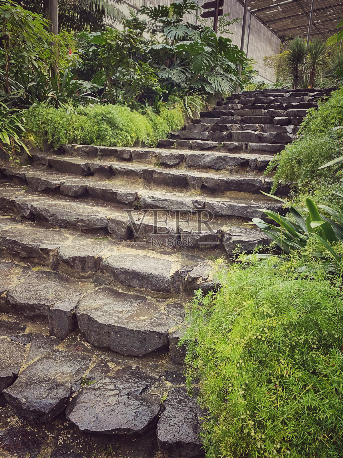 葡萄牙里斯本的植物园照片摄影图片