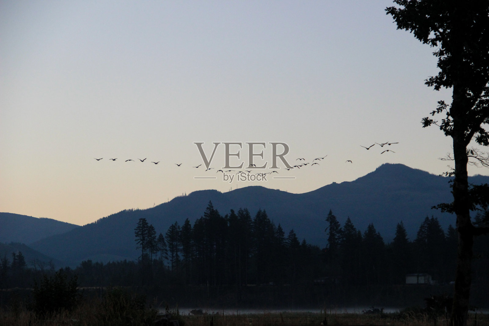 早上的航班照片摄影图片