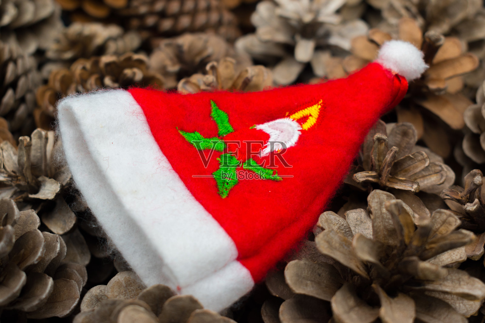 圣诞老人的帽子在松果之间照片摄影图片