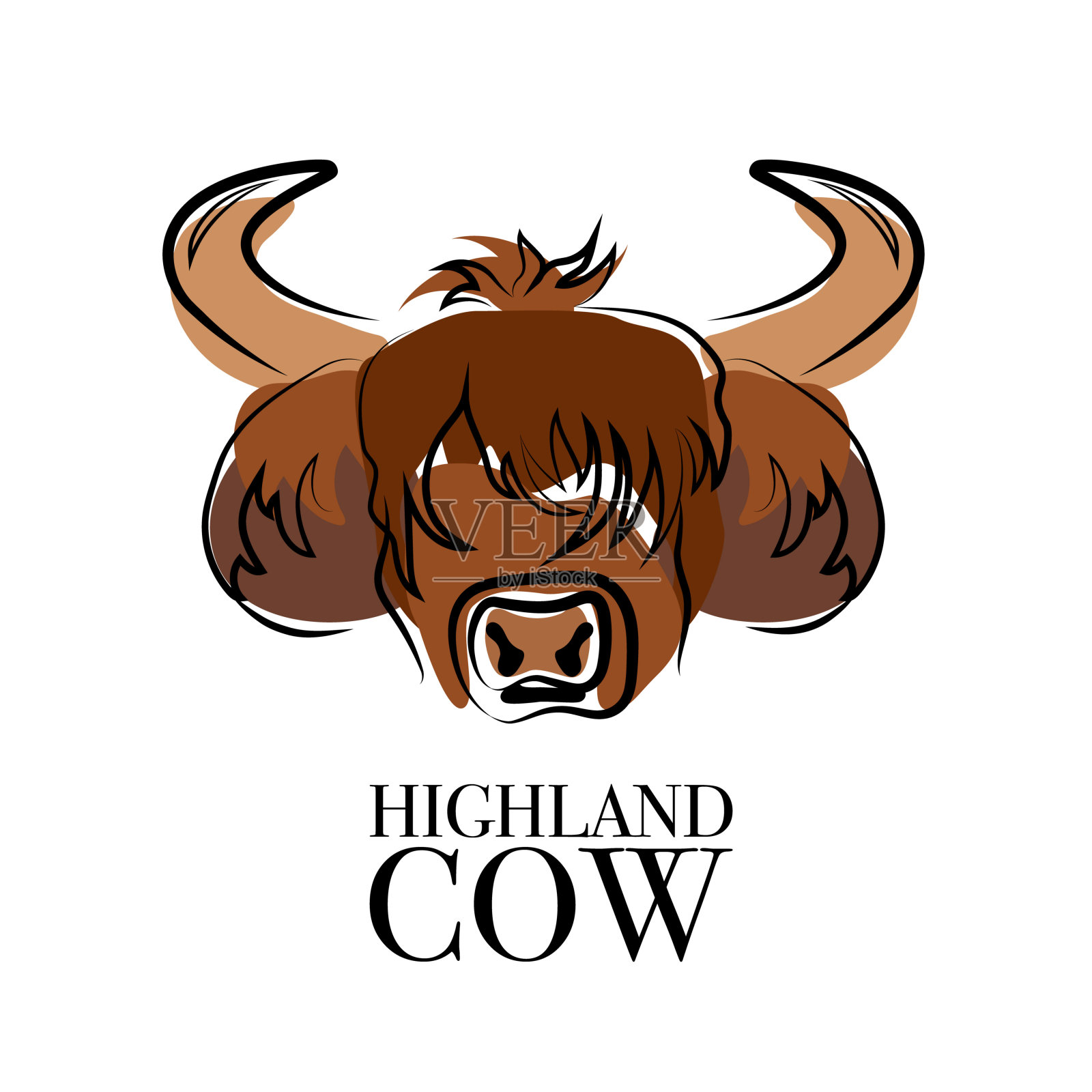 高原牛的肖像，牛插画图片素材