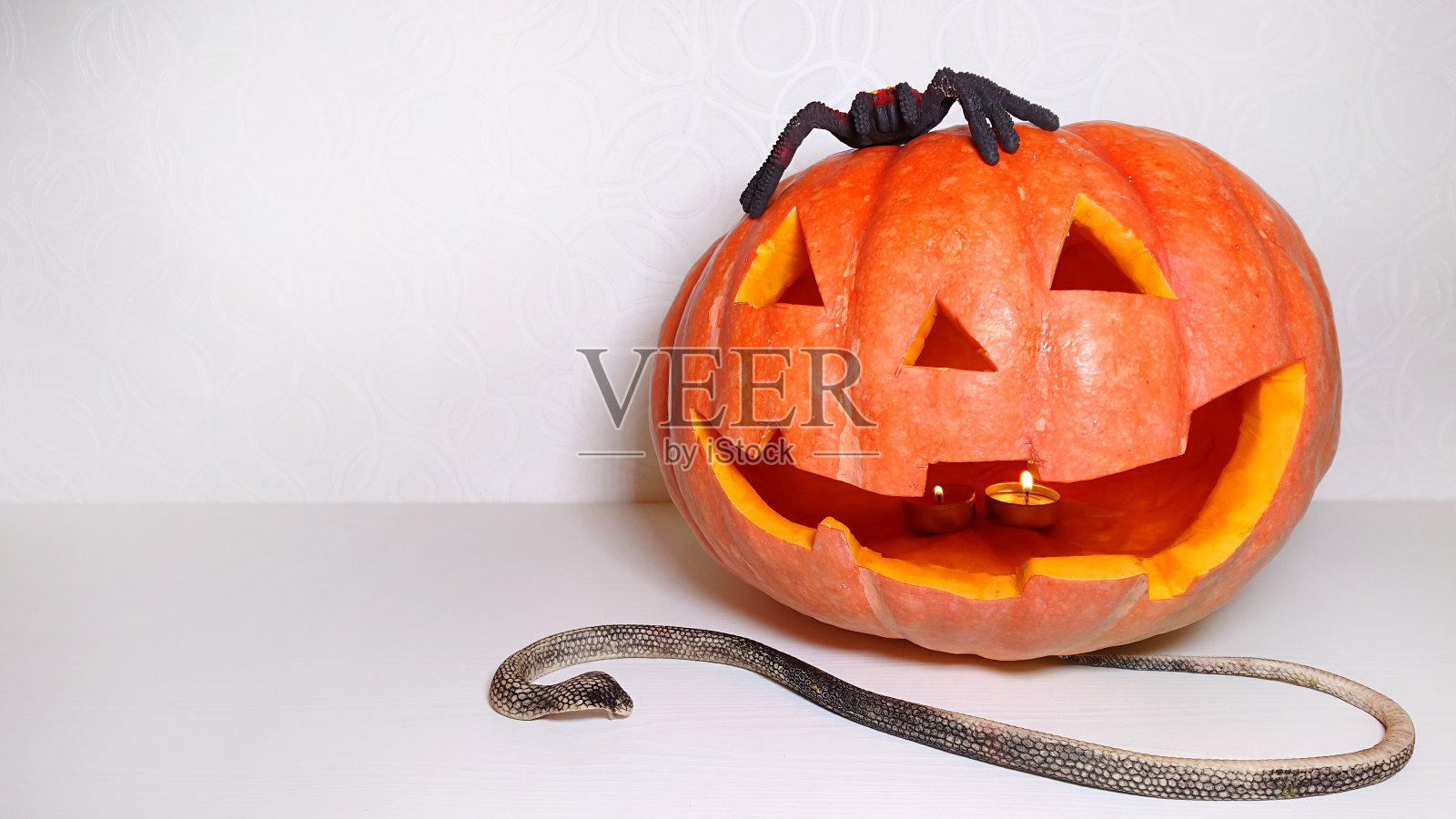 万圣节前夕雕刻南瓜面有蛇和黑蜘蛛照片摄影图片