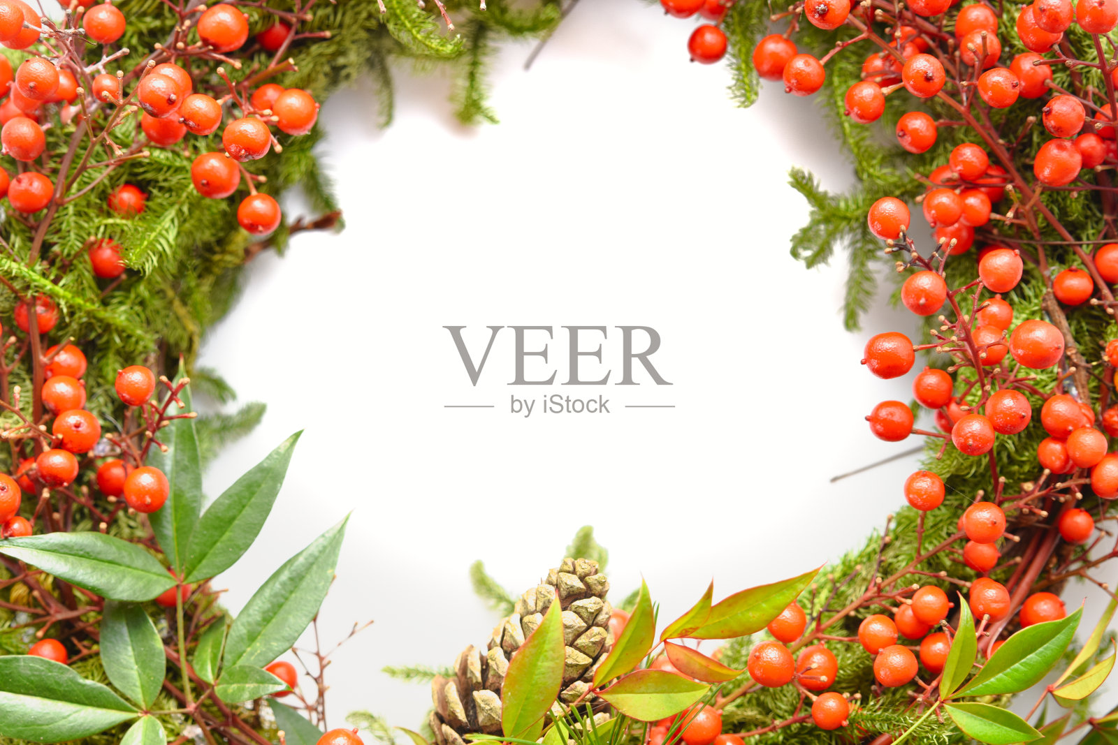 白色背景的南地那红浆果花环照片摄影图片