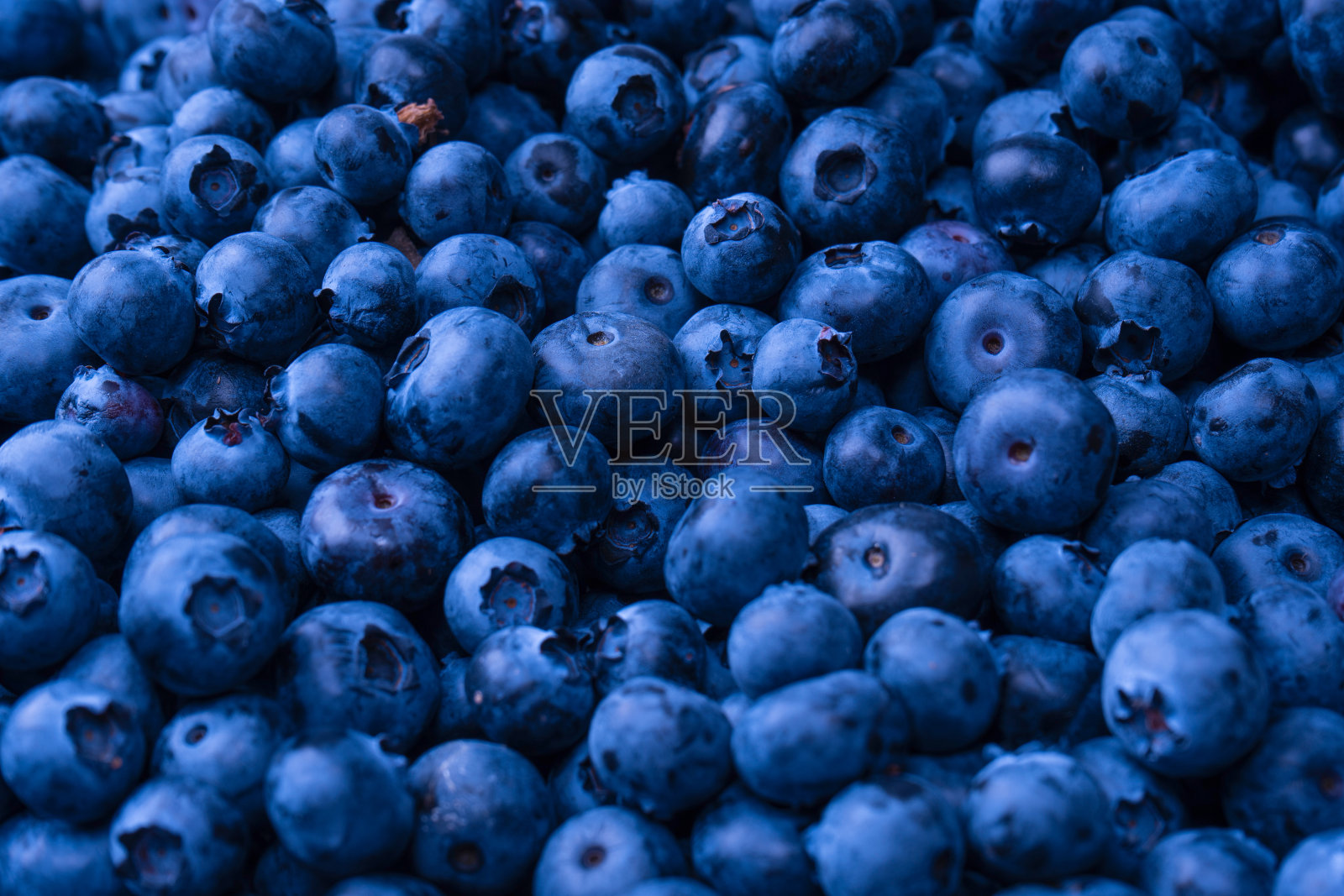新鲜的蓝莓背景。纹理蓝莓浆果接近。照片摄影图片