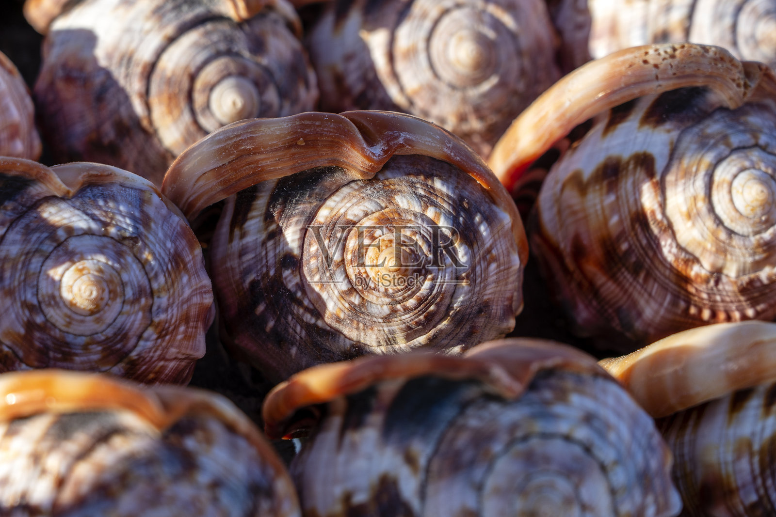 在非洲坦桑尼亚桑给巴尔岛的海滩市场上出售的纪念品。近距离照片摄影图片