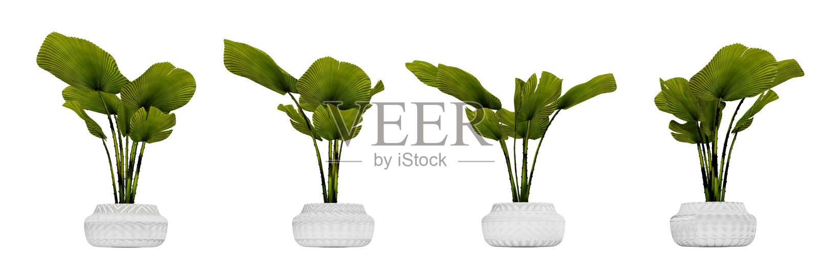 现实的房子板设置在白色背景孤立的锅照片摄影图片