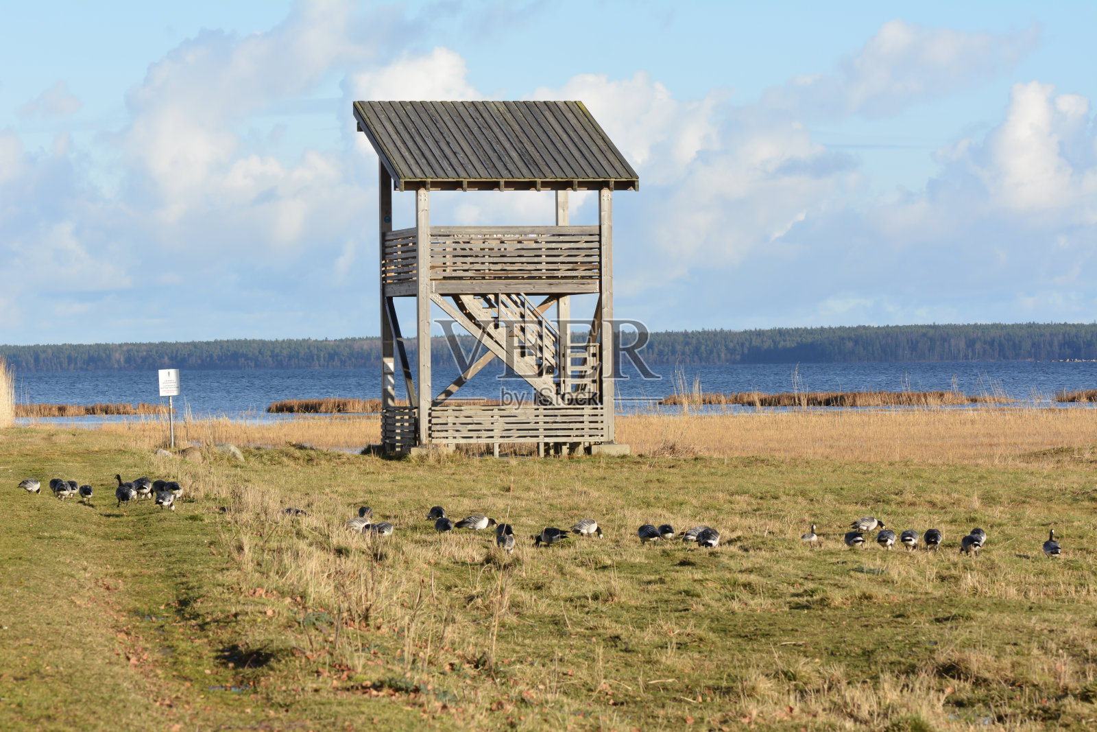 观鸟塔。照片摄影图片