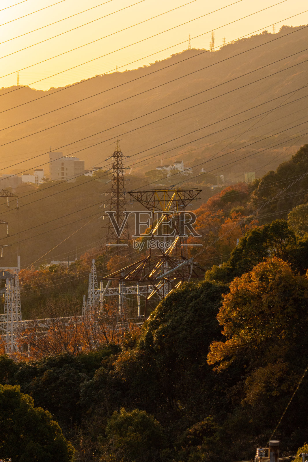 金色的小时照片摄影图片