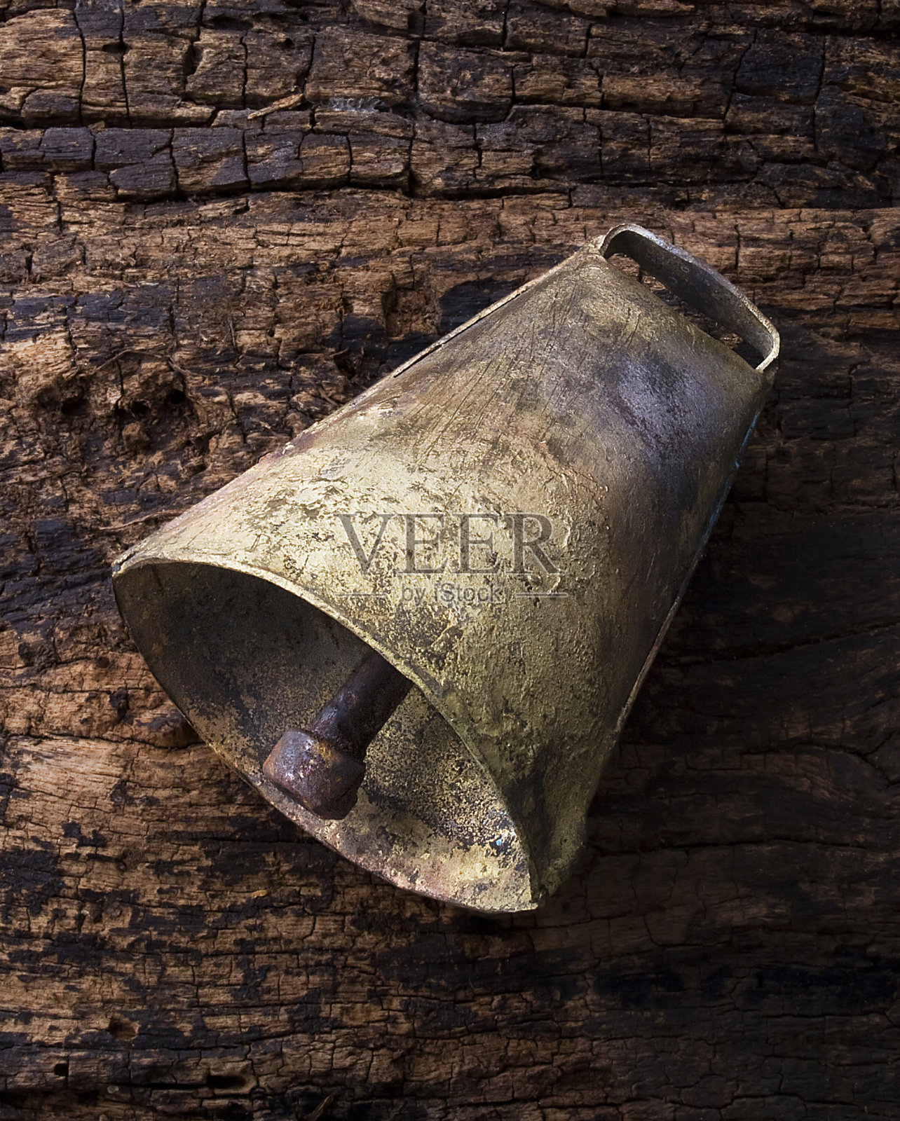 巴西牛用金属拨浪鼓照片摄影图片