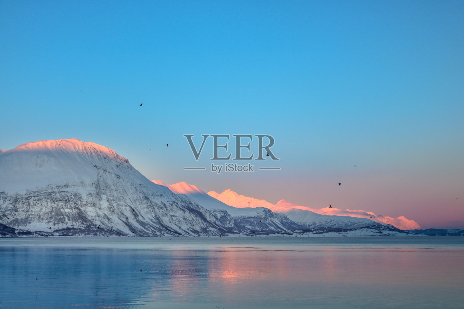 在挪威，从雪山的大海上看到的令人惊叹的粉红色蓝色日落的天空背景照片摄影图片