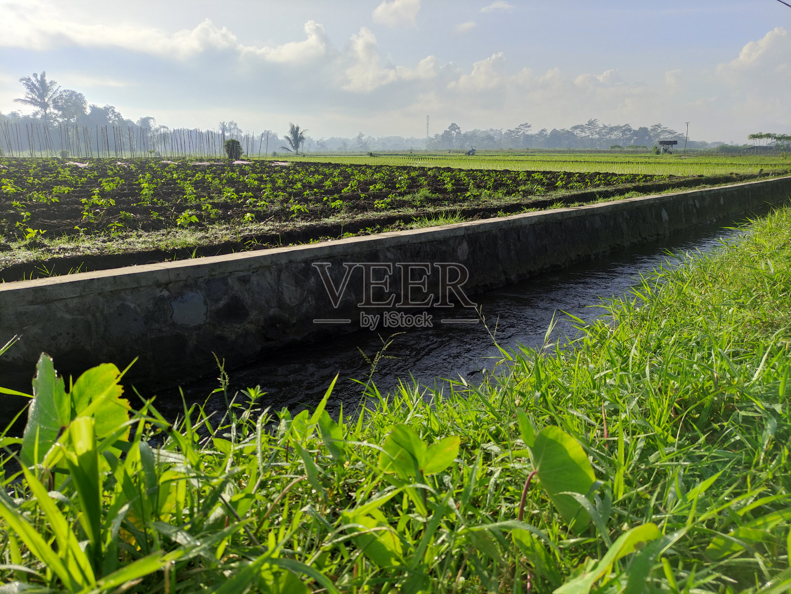 印度尼西亚美丽的乡村照片摄影图片