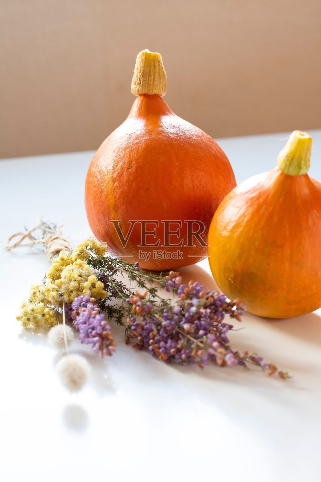 白色背景上垂直拍摄的小洋葱照片摄影图片