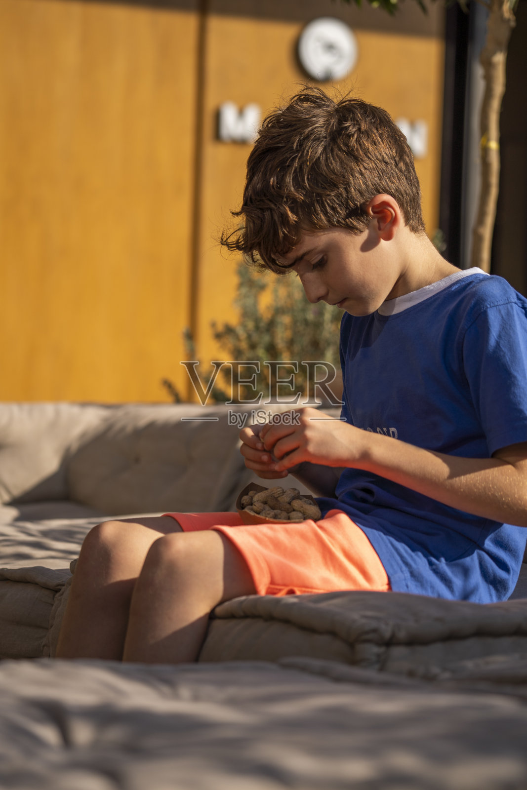 男孩坐在阳台的沙发上吃花生照片摄影图片