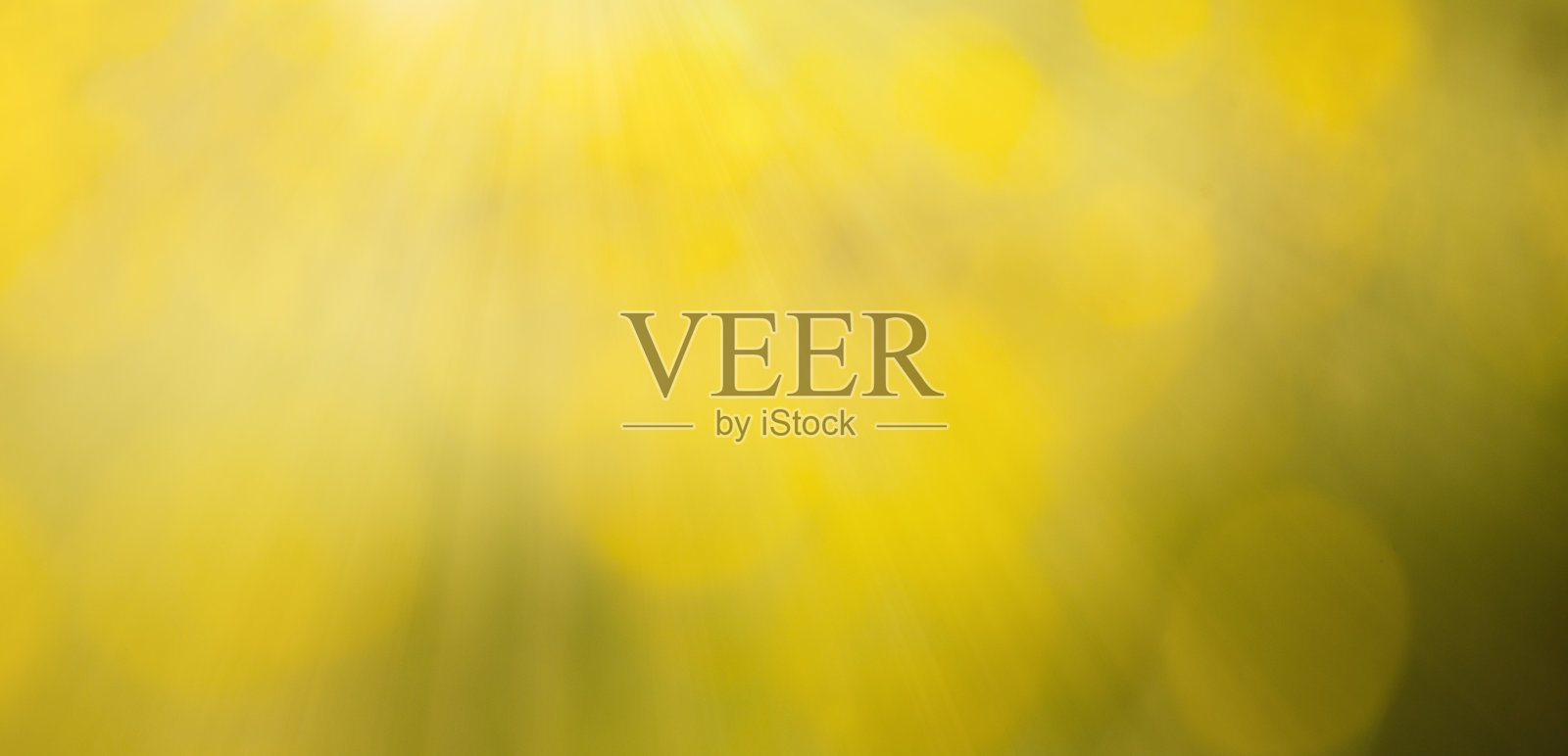 阳光照耀着草地，草地上有阳光和仙女的灯光，春夏季节照片摄影图片