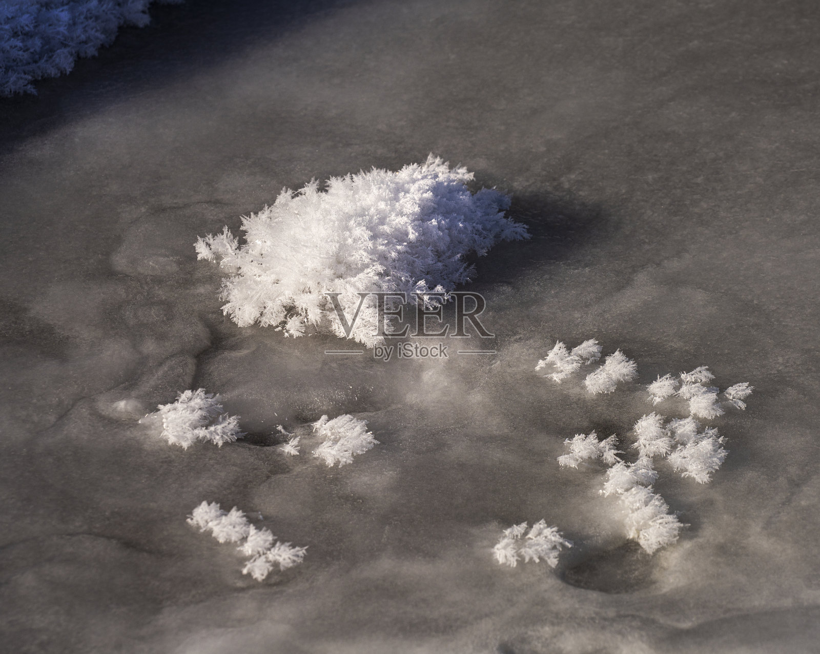 冰冻池塘的细节照片摄影图片