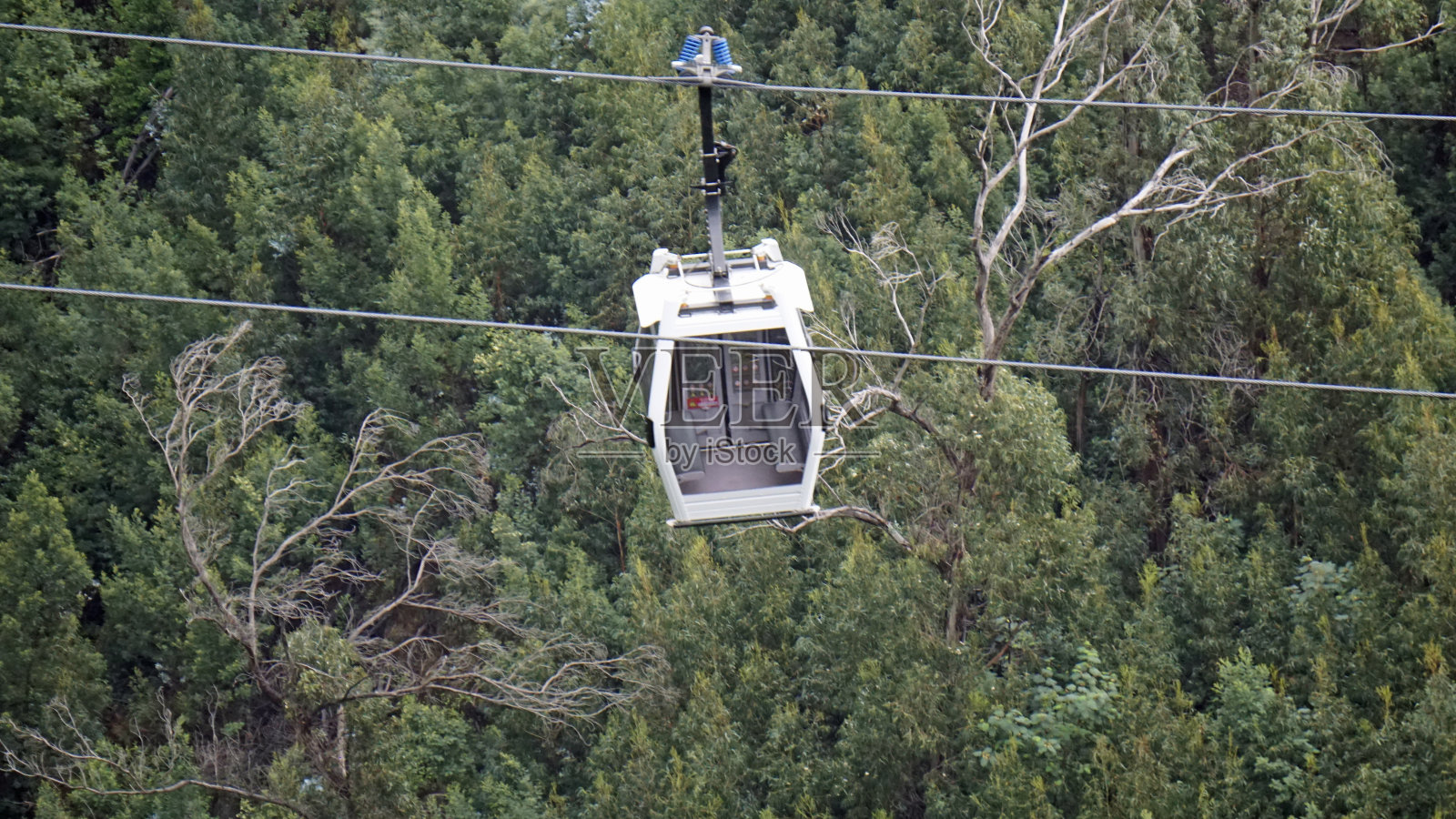 马德拉景观照片摄影图片