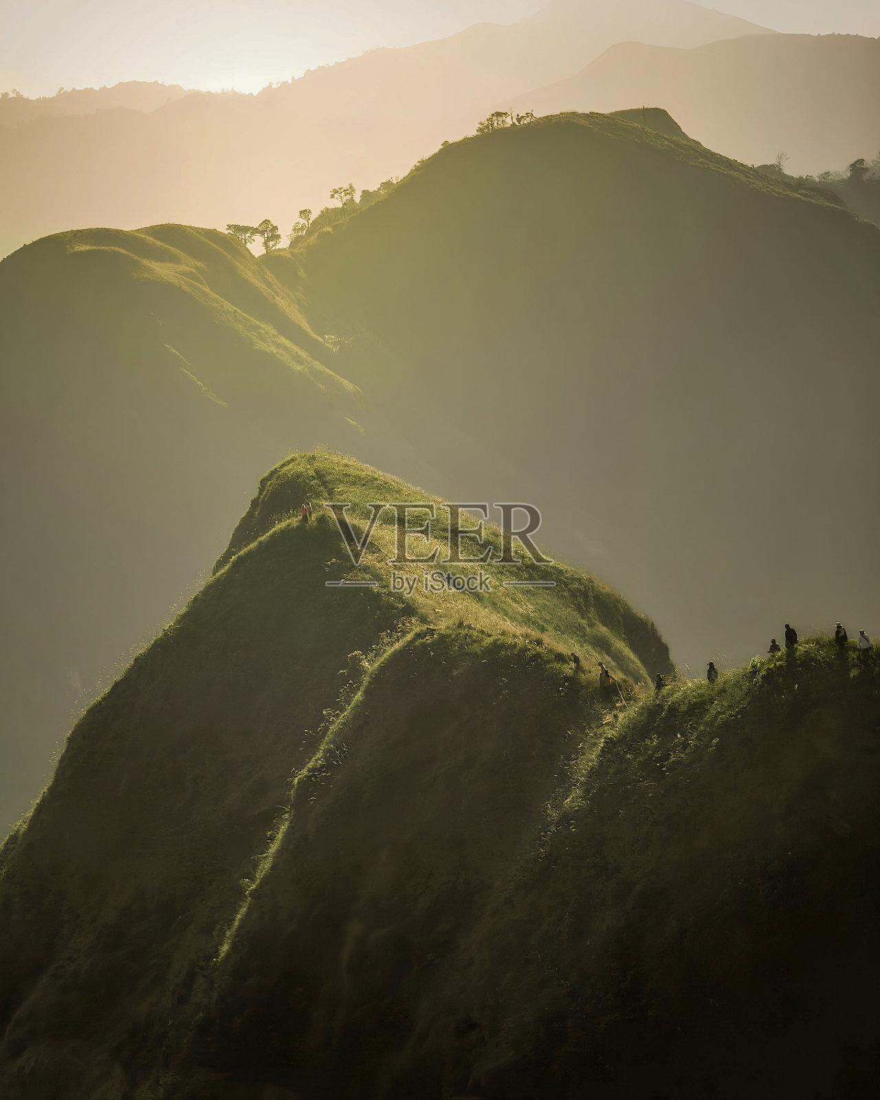 南省04照片摄影图片