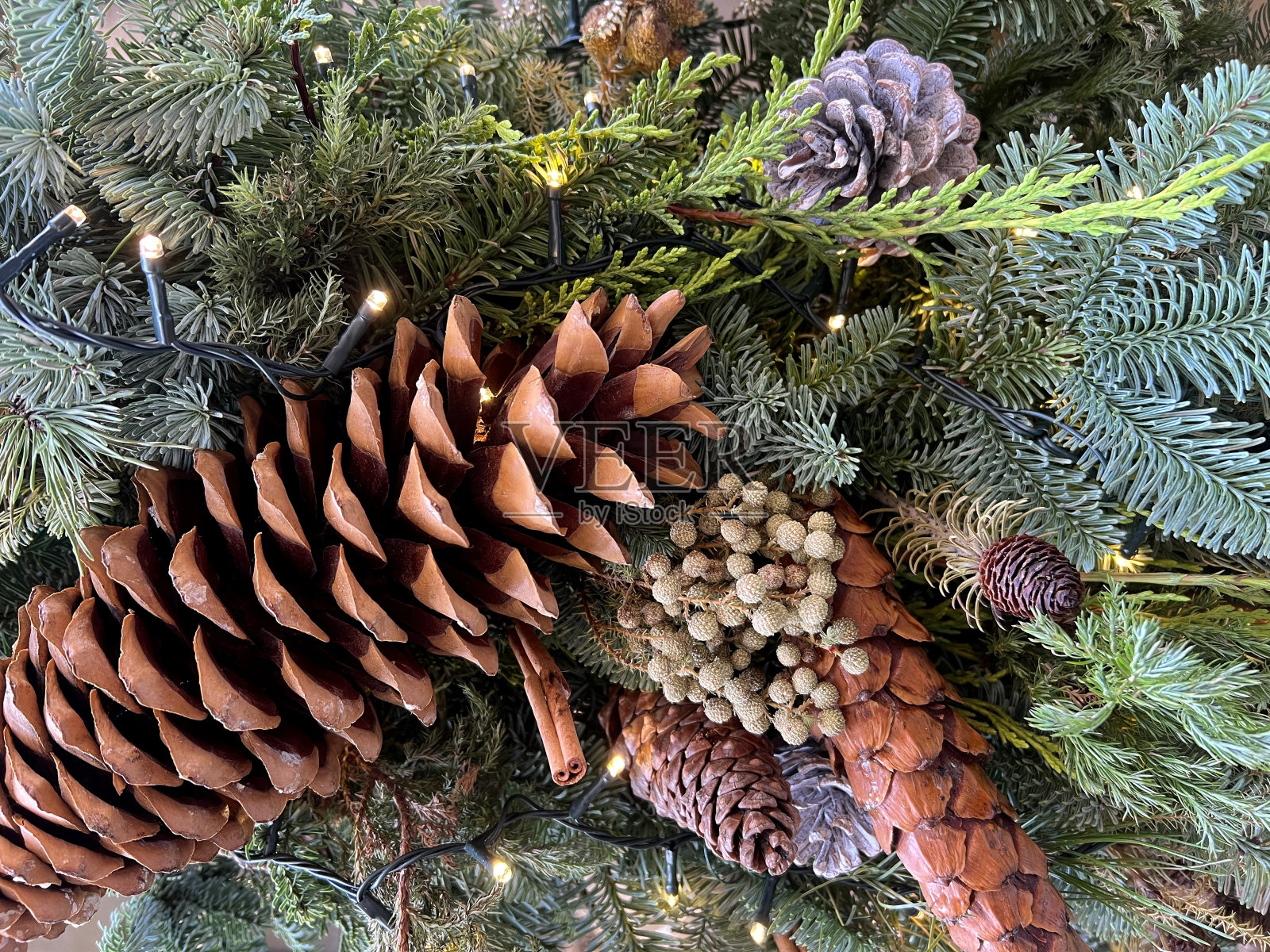 圣诞装饰用松树和松果照片摄影图片